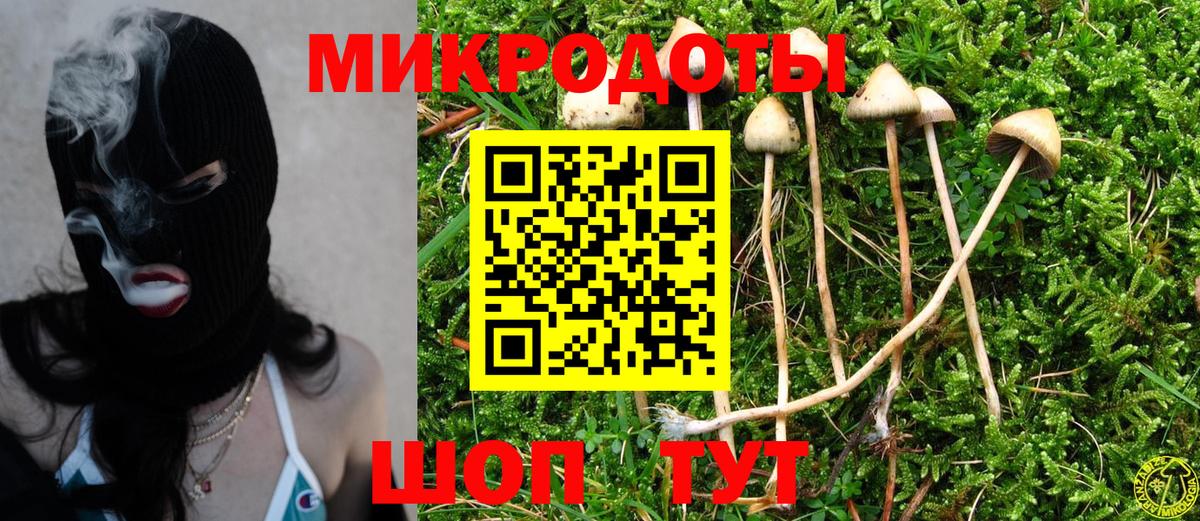 Псилоцибиновые грибы Cubensis Берёзовский